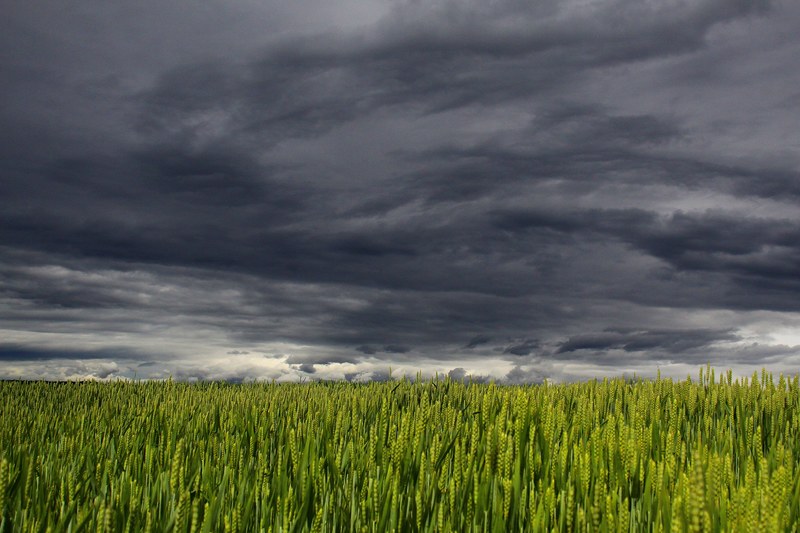 clouds summer storm clouds form dark clouds 4k