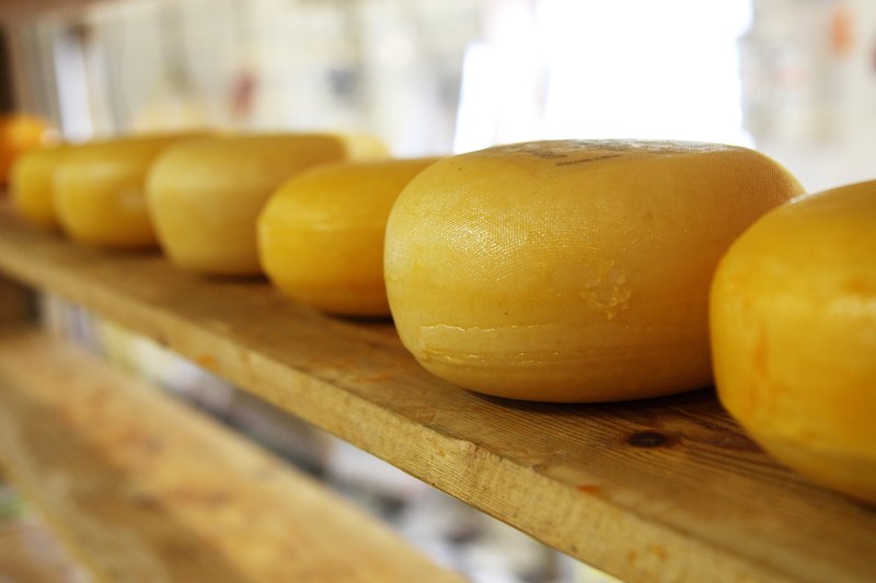 cheese circle circular dairy dutch eat food 4k