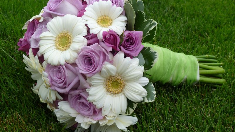 roses, gerbera, flower, bouquet, grass, leaves, 4k