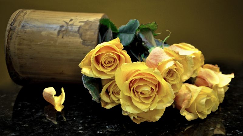 roses, flowers, vase, surface, leaves, yellow, 4k