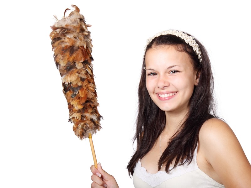 brush cleaner cleaning cute duster feather female 4k