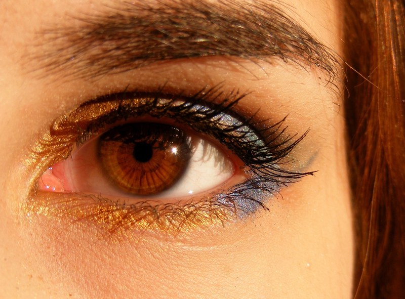 brown brown eyes iris gene light eye coloring 4k
