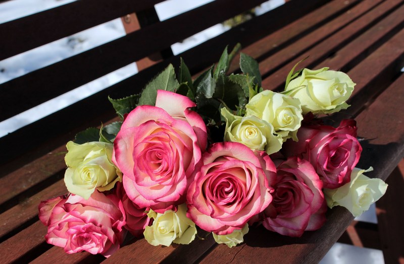 bouquet of roses pink roses white roses bouquet 4k