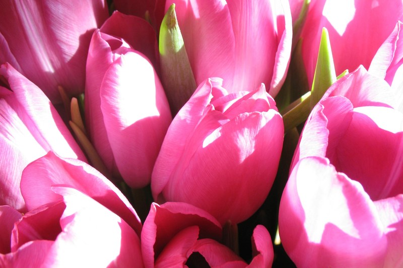 bouquet floral flowers fresh garden mothers day 4k