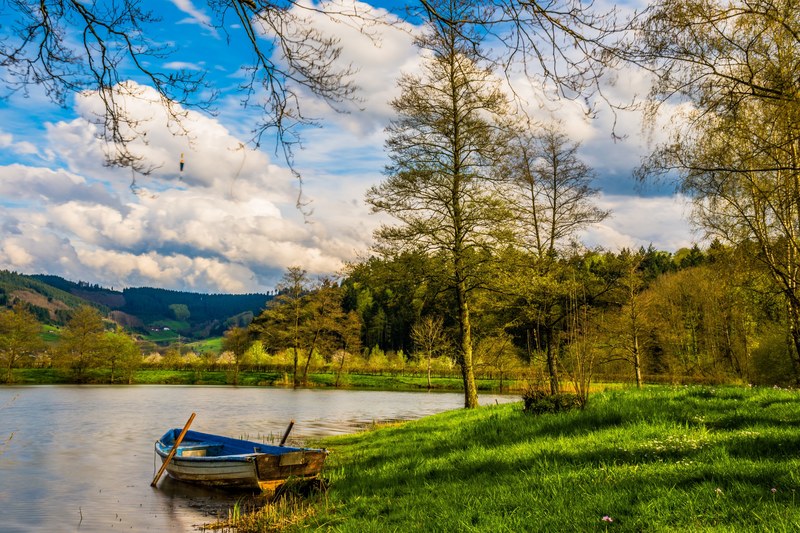 boot lake water rowing boat landscape fish bank 4k