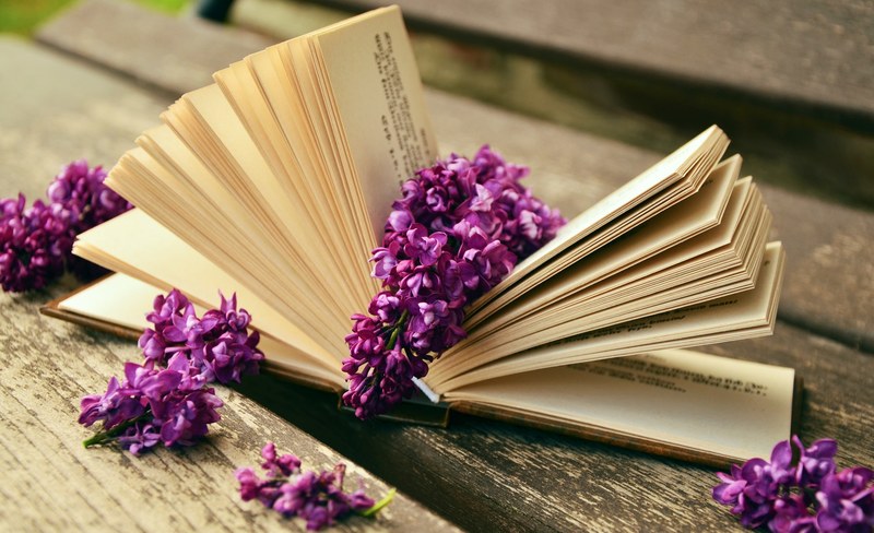 book read relax lilac bank old book pages rest 4k