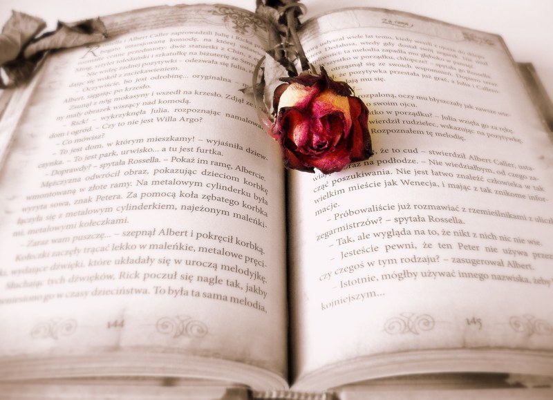 book reading love story story roman novel rose 4k