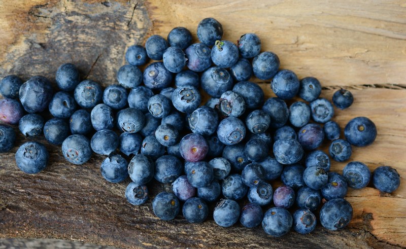 blueberries berries fruit fruits berry blue 4k