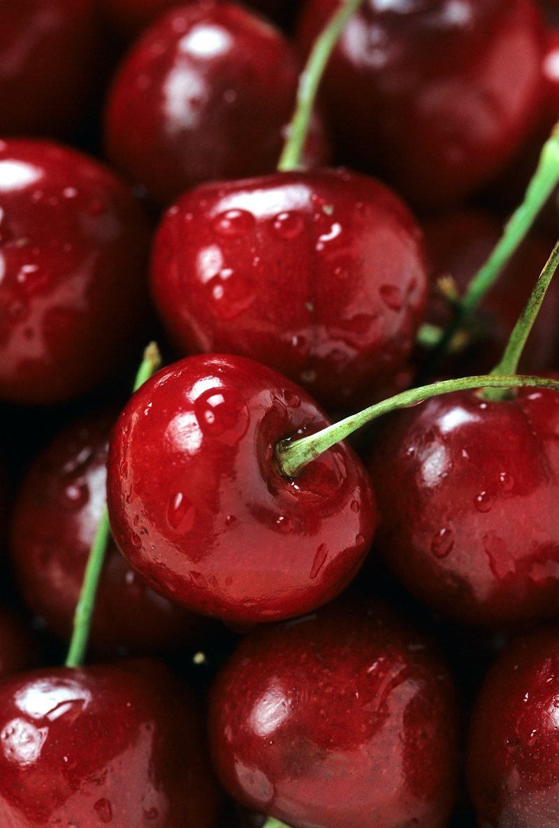 bing cherries ripe red fruit stem berry fresh 4k