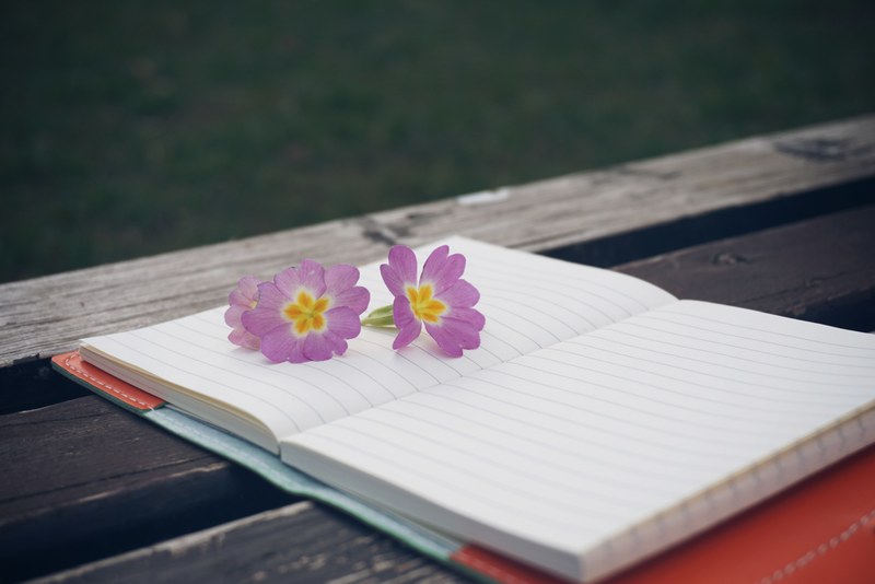 bench flower notebook pen wooden notepad 4k