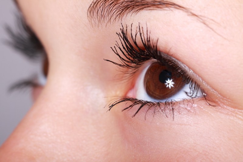 beautiful close up eye eyebrows eyelashes eyes 4k