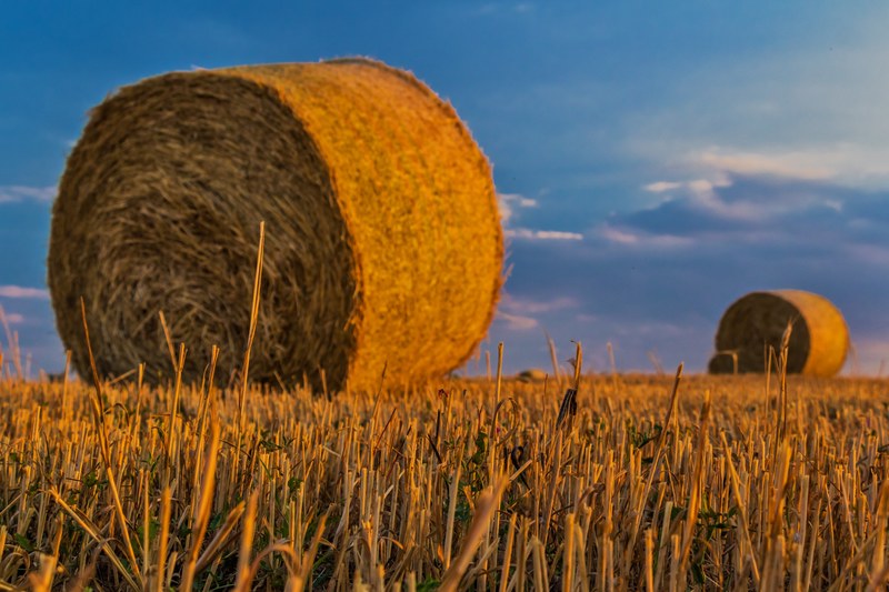 bale straw agriculture harvest rural landscape 4k
