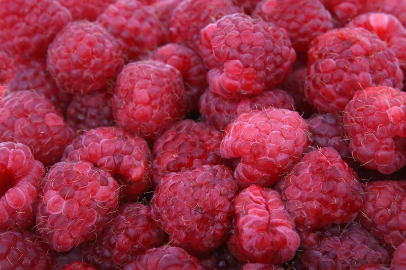 background berries berry bitter blackberry 4k