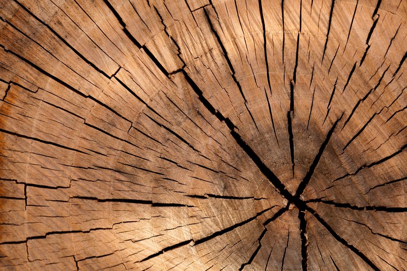 background brown circle cut detail log lumber 4k