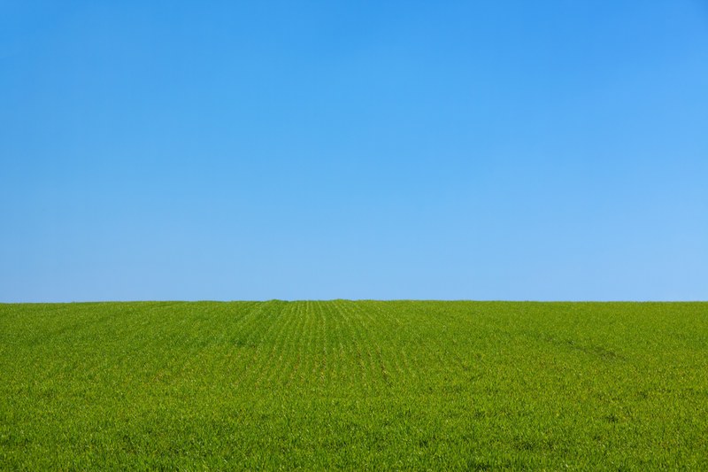 background blue clean clear day field freedom 4k