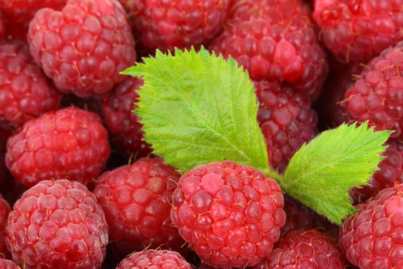 background berry detail food fresh fruit leaf 4k