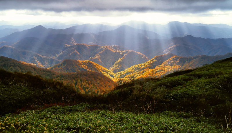 autumn mountains luster autumnal leaves october 4k