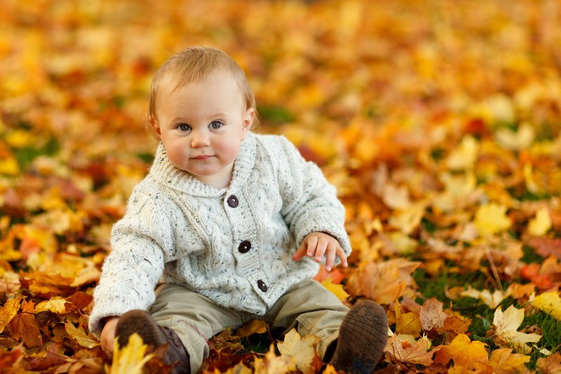 autumn fall baby boy child cute kid outdoor park 4k