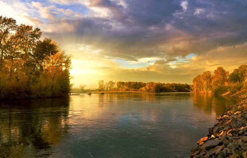 autumn landscape nature golden september river 4k