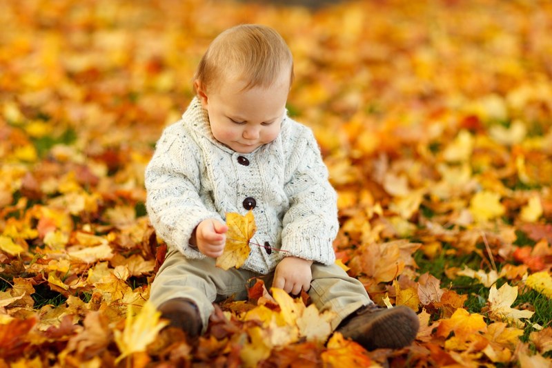 autumn fall baby boy child cute kid outdoor park 4k