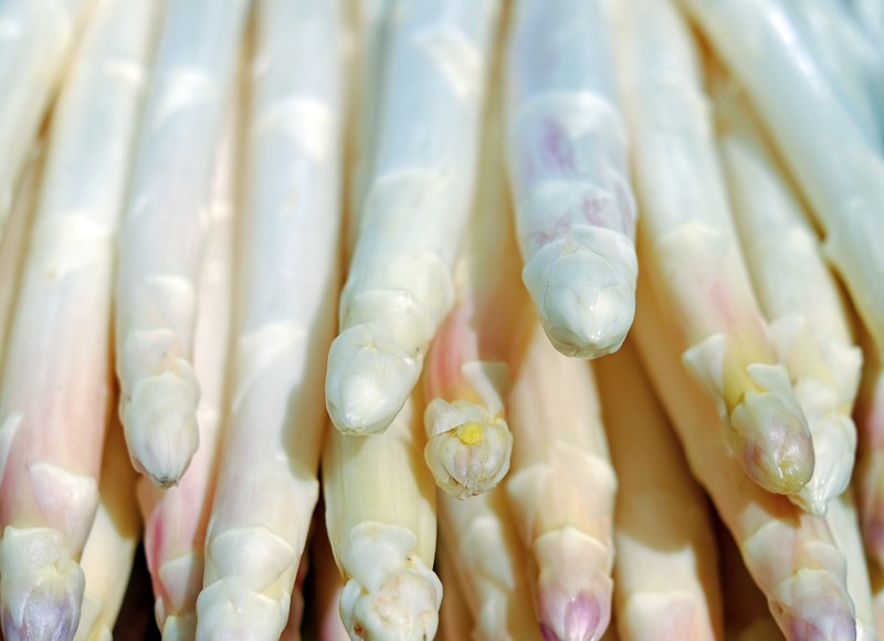 asparagus white shiny frisch asparagus time food 4k