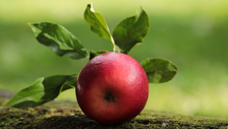 apple red red apple delicious fruit vitamins 4k