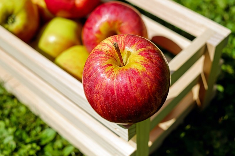 apple red fruit fruits frisch harvest 4k