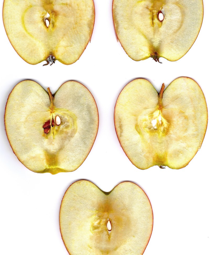 apple apple slice disc nuclear apple core 4k