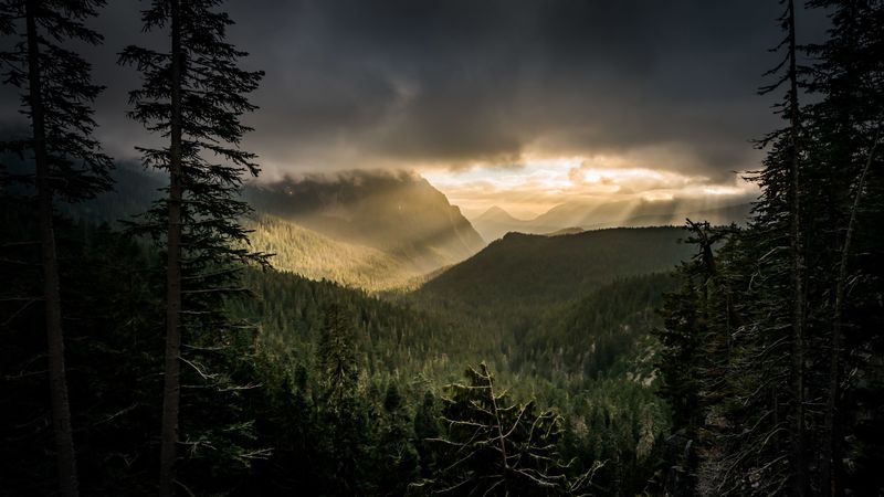 mountains, rays, forest, fog, 4k