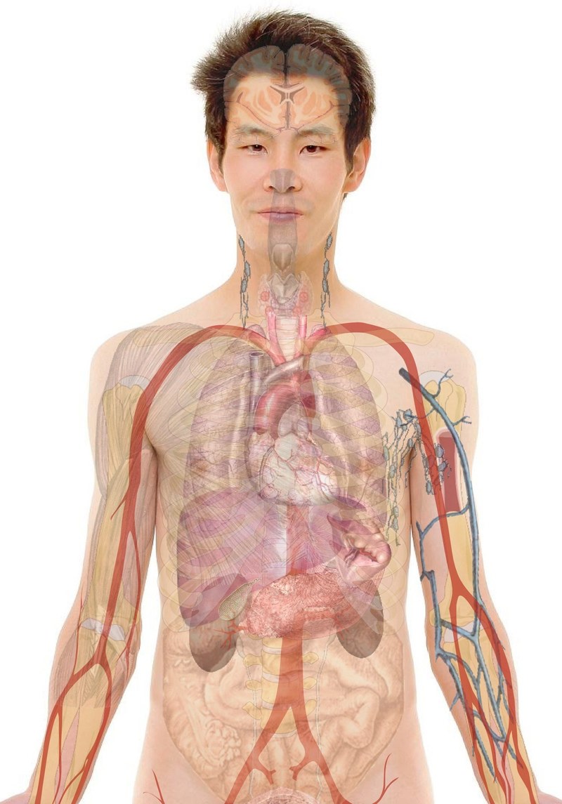 anatomy man human face body lips mouth skin 4k