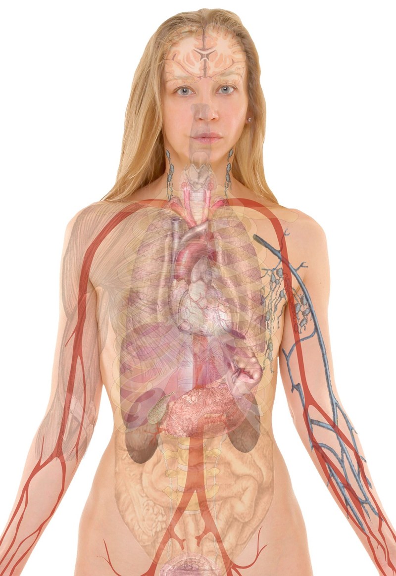 anatomy woman human face body lips mouth skin 4k