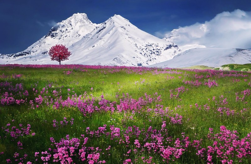 amazing beautiful beauty blue breathtaking calm 4k