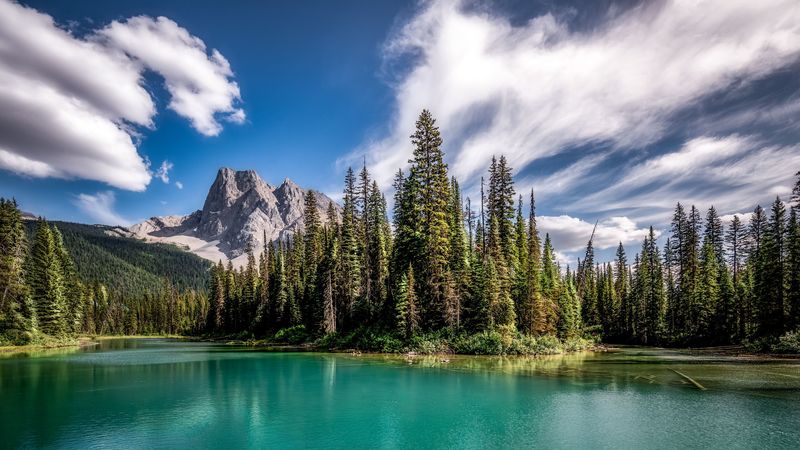mountains, lake, spruce, forest, sky, 4k