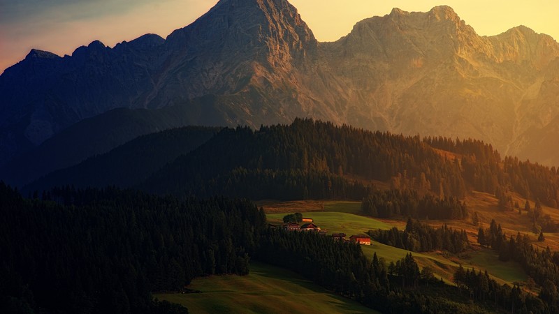 sunset, forest, mountains, 6K