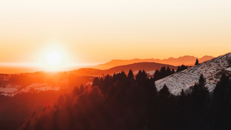 sunset, forest, snow, 4K