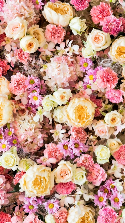 Earth Flower, Peony, Daisy, Pastel, Carnation, Colors, 2160x3840