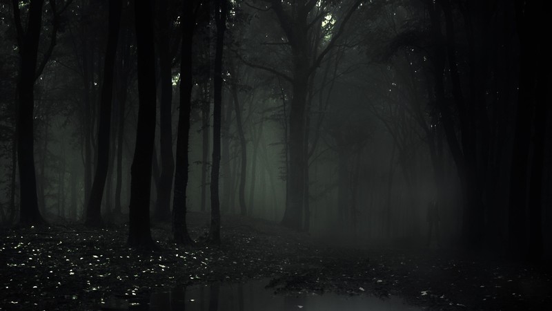 Slender Man, 4K