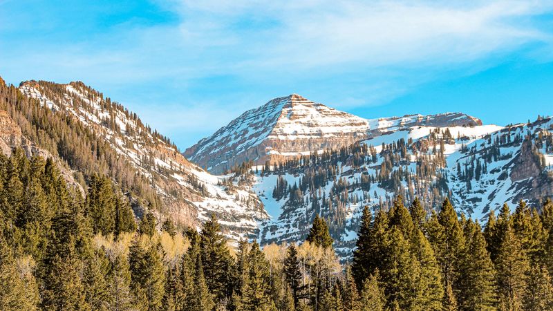 mountains, peak, trees, snowy, 4k