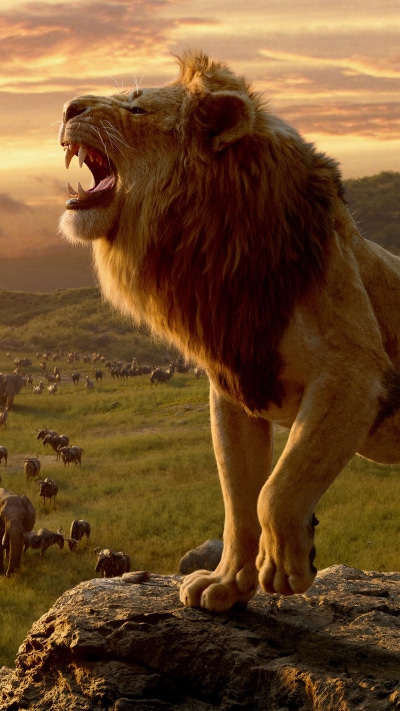 Movie The Lion King (2019), Mufasa (The Lion King), Lion, 2160x3840