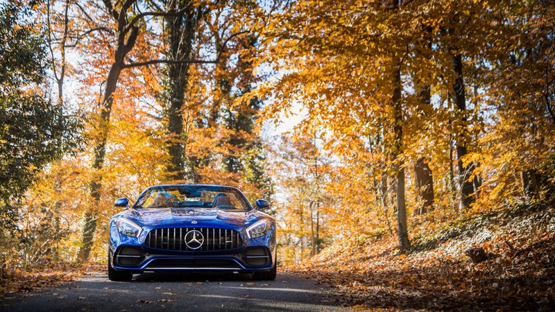 Mercedes AMG GT C, 2018 Cars, 4K