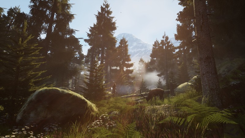 Vigor, screenshot, 4K