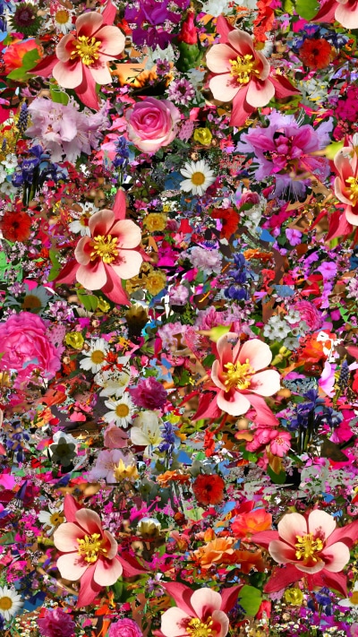 Artistic Flower, Colors, Colorful, 2160x3840