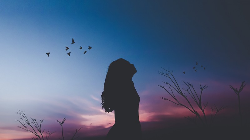 Girl, Silhouette, Shadow, 4K