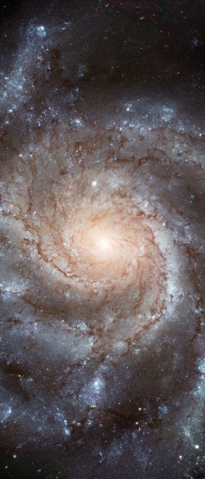 Sci Fi Galaxy, Space, Stars, 1644x3840
