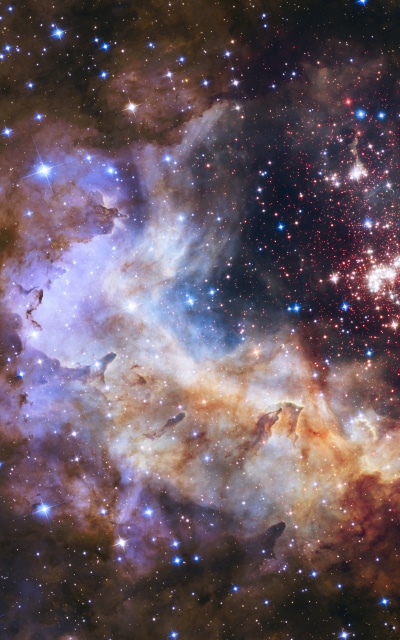 Sci Fi Nebula, Space, Galaxy, Milky Way, Stars, 1600x2560