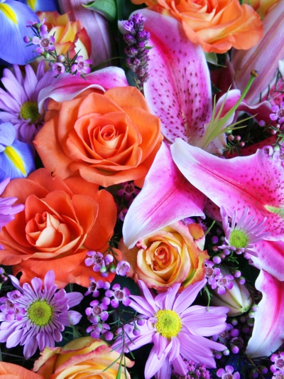 Earth Flower, Rose, Colorful, Daisy, Lily, Iris, 1536x2048