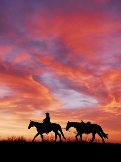 Photography Cowboy, Horse, Sunset, Sky, Cloud, Silhouette, 1536x2048