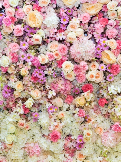 Earth Flower, Pink Flower, Purple Flower, Daisy, Peony, Rose, 1536x2048