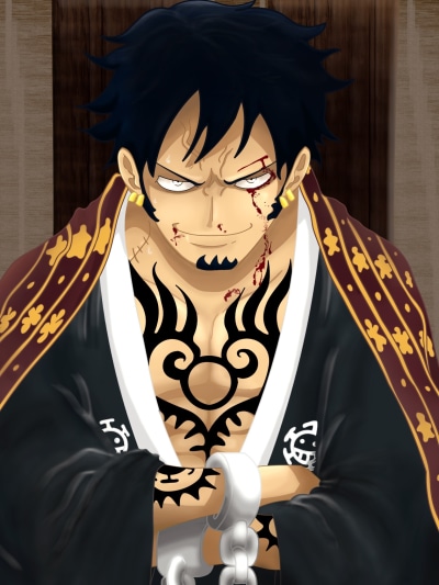 Anime One Piece, Trafalgar Law, 1536x2048