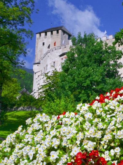Man Made Flower, Purple Flower, Castle, Austria, Spring, Tyrol, 1536x2048